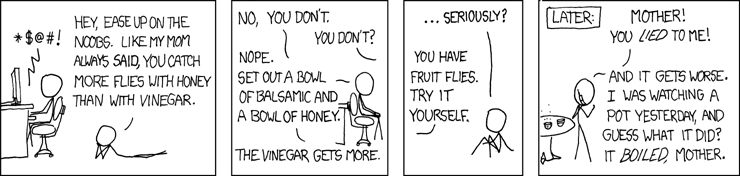 XKCD MADNESS Flies