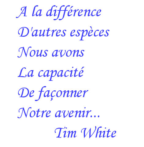 Belles citations - Page 2 7r021u93