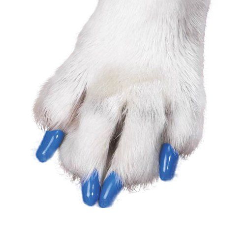 Les griffes du chien : entretien, coupe, conseils. Ca_11303026._canine-soft-claws-dog-and-cat-nail-caps-take