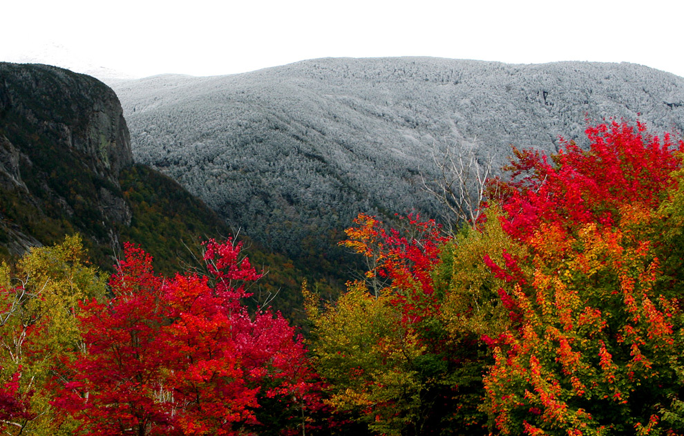 مـشـاهـد الخـريـف  && Autumn scenes A09_20582575