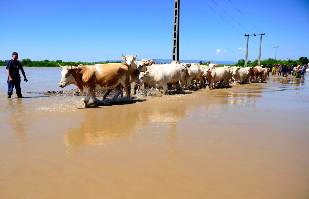 Banjir Paling Besar di Eropa (42 PIC) F16_23707131