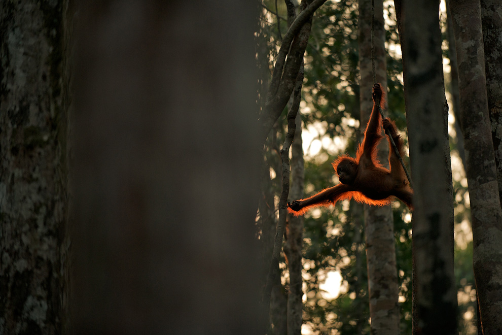 Les plus belles photos envoyées à National Geographic N12_00000012