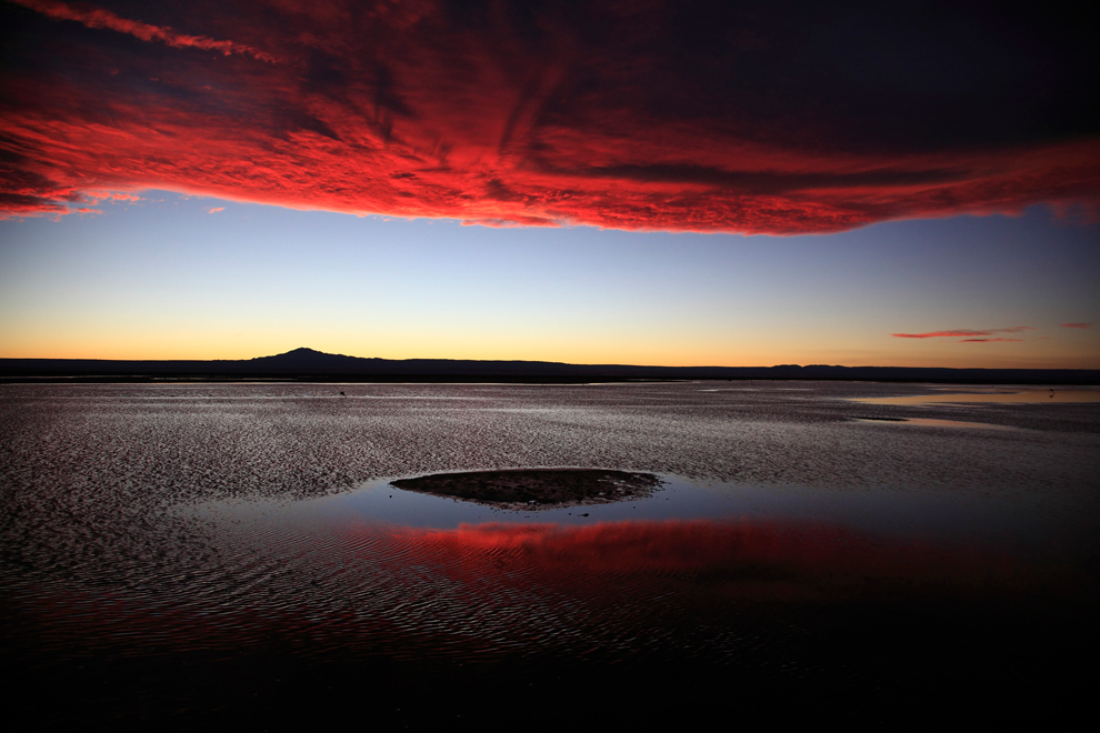 Concours de photos du National Geographic, les finalistes Bp11