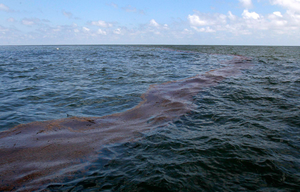 Fotografías CENSURADAS: Desastre en el Golfo de México; Indignante¡ O14_23511527