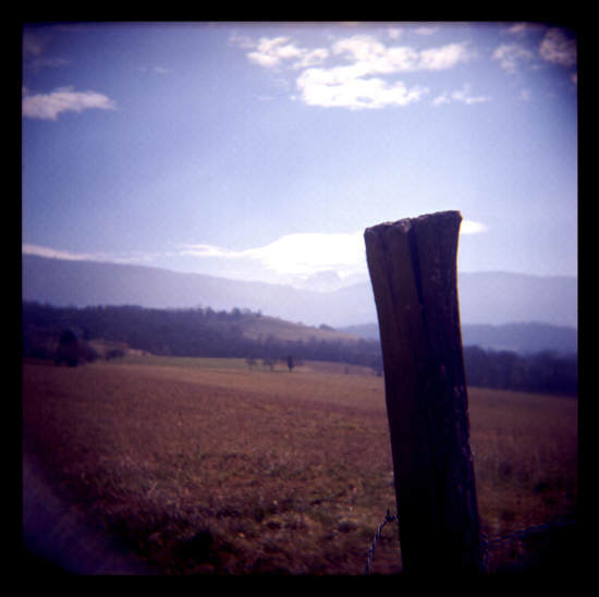 Holga 120-2 (lomo) Bois