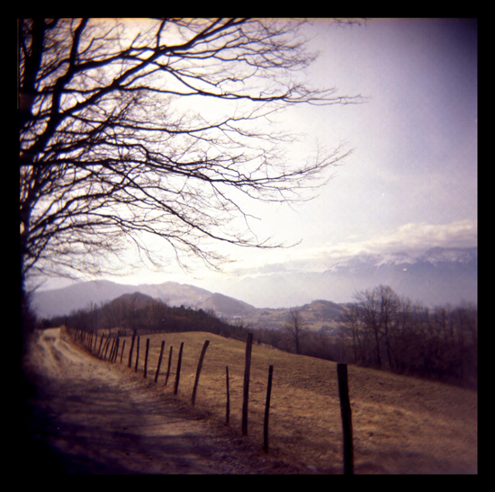 Holga 120-2 (lomo) Sentier