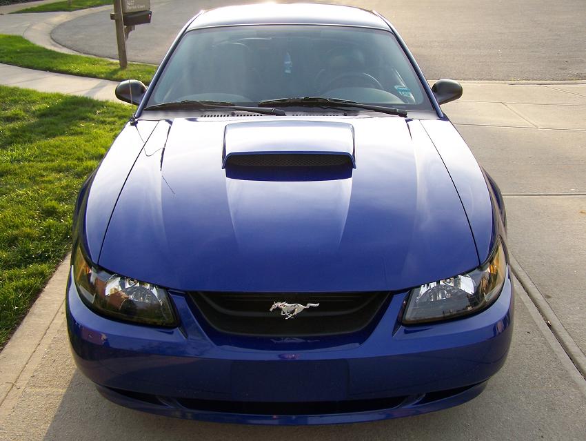 2004 Mustang GT Premium w/ IUP - vortech blown, inercooled, full max motors suspension/coilovers... Stangzz%20005