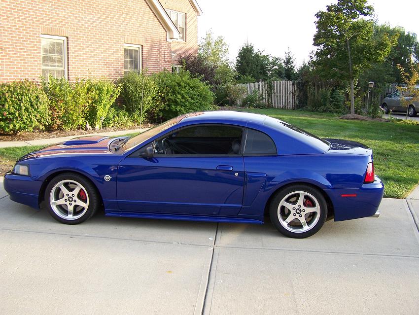 2004 Mustang GT Premium w/ IUP - vortech blown, inercooled, full max motors suspension/coilovers... Stangzz%20012