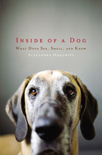 Livre "Dans la peau d’un chien" de Alexandra Horowitz Inside-of-a-Dog-cover