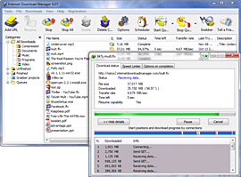 IDM 5.14 build 5 Full Added Việt Hóa IDM_12_idm_250