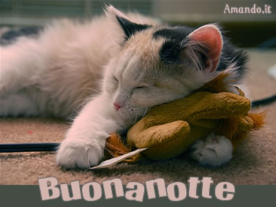 BUONA NOTTE, ...e sogni d'oro - Pagina 29 Saluti_buona_notte_micio_01