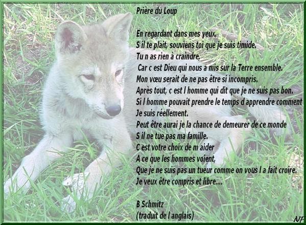 Poème "Prière du loup" écrit par B.Schmitz, de la part de Josiane 07220de0