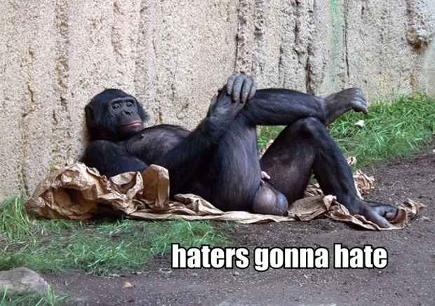 Just something funny - Page 8 Haters-gonna-hate-monkey-crossed%20legs-1291945299k