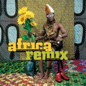  Various Artists - Africa Remix  170x170bb