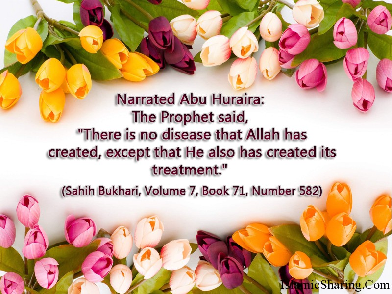 Translation of Sahih Bukhari, Book: 71 Medicine Sahih-bukhari-volume-7-book-71-number-582