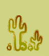 [HRP] Images, catégories, etc... Cactus