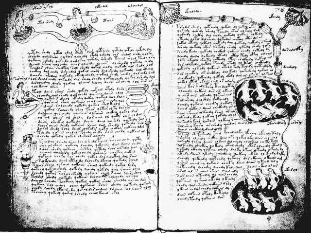 Le manuscrit de Voynich Fig2_f77