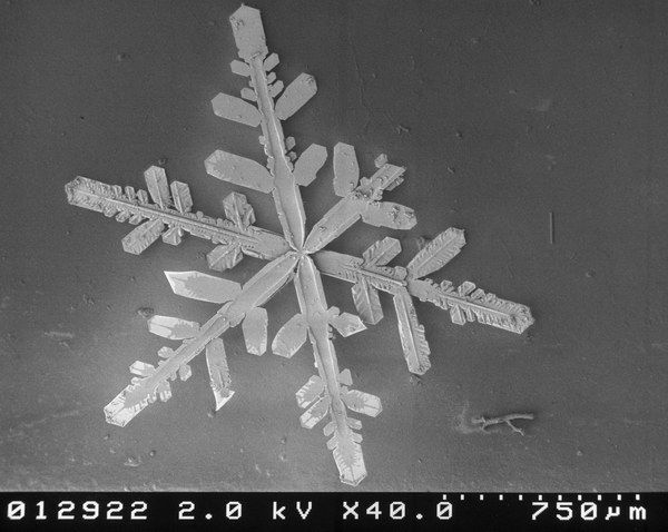 Kar tanelerinin Mikroskop ortamındaki inanılmaz görüntüleri. Snow_10