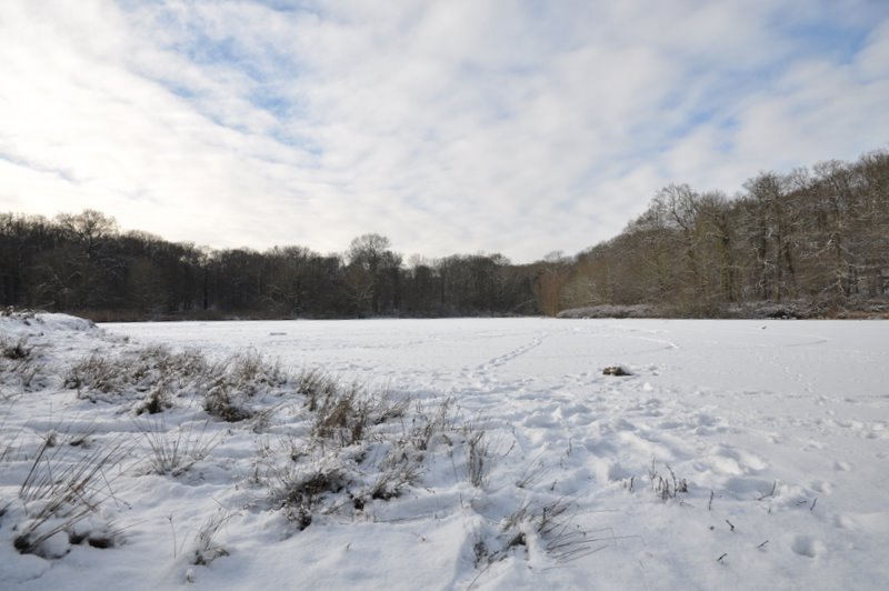 Paysages de neige DSC_3558