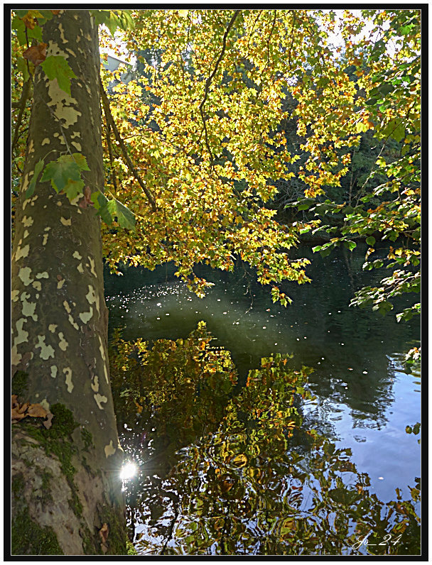 Couleurs d'Automne au bord de la rivière 4