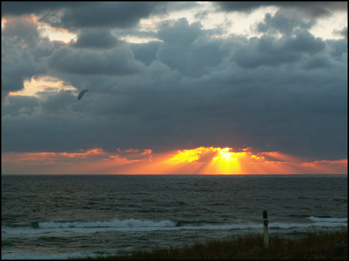 Plage et dune 13