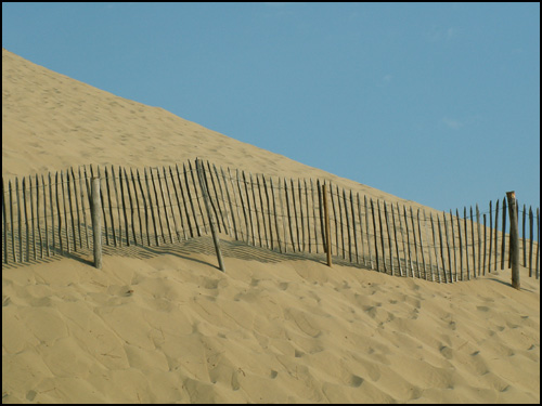 Plage et dune 17