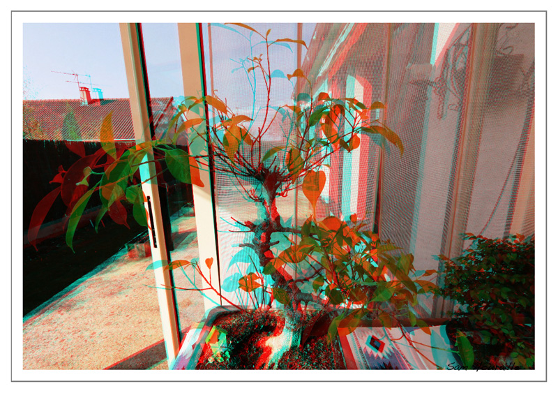 Anaglyphe Anaglyphe10