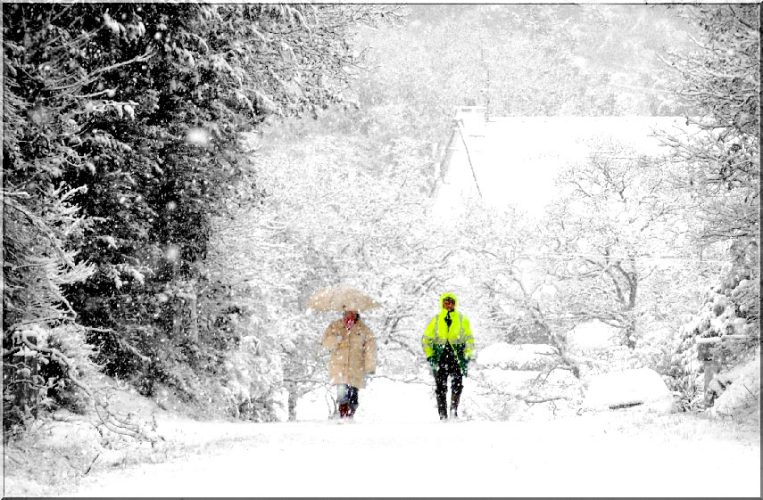 Souvenez vous il y a quelques semaines ! Neige