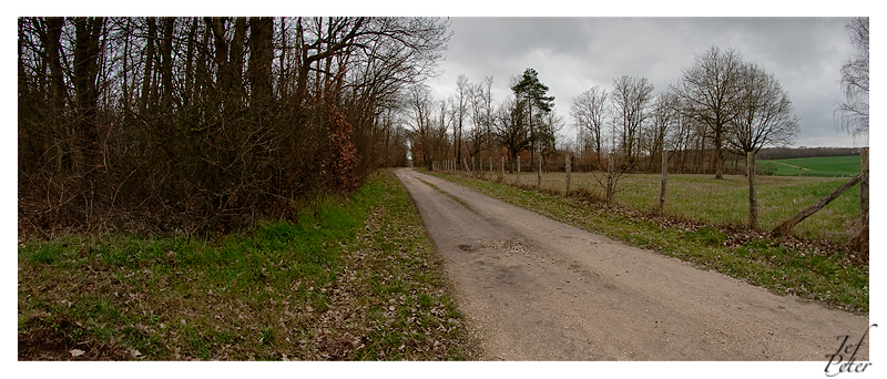 Test SamYang en panoramique une seule image Printemps02