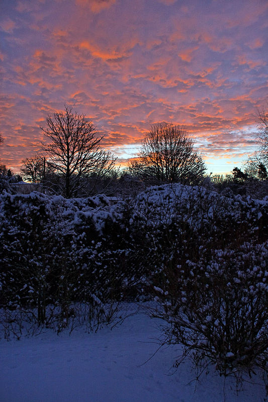 Photo du 17 décembre, peut-être Demain