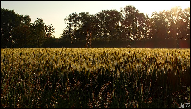 sur la route du boulot 04062010-01