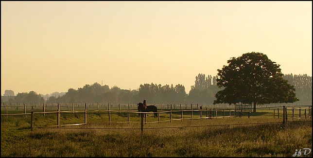 sur la route du boulot 04062010-03