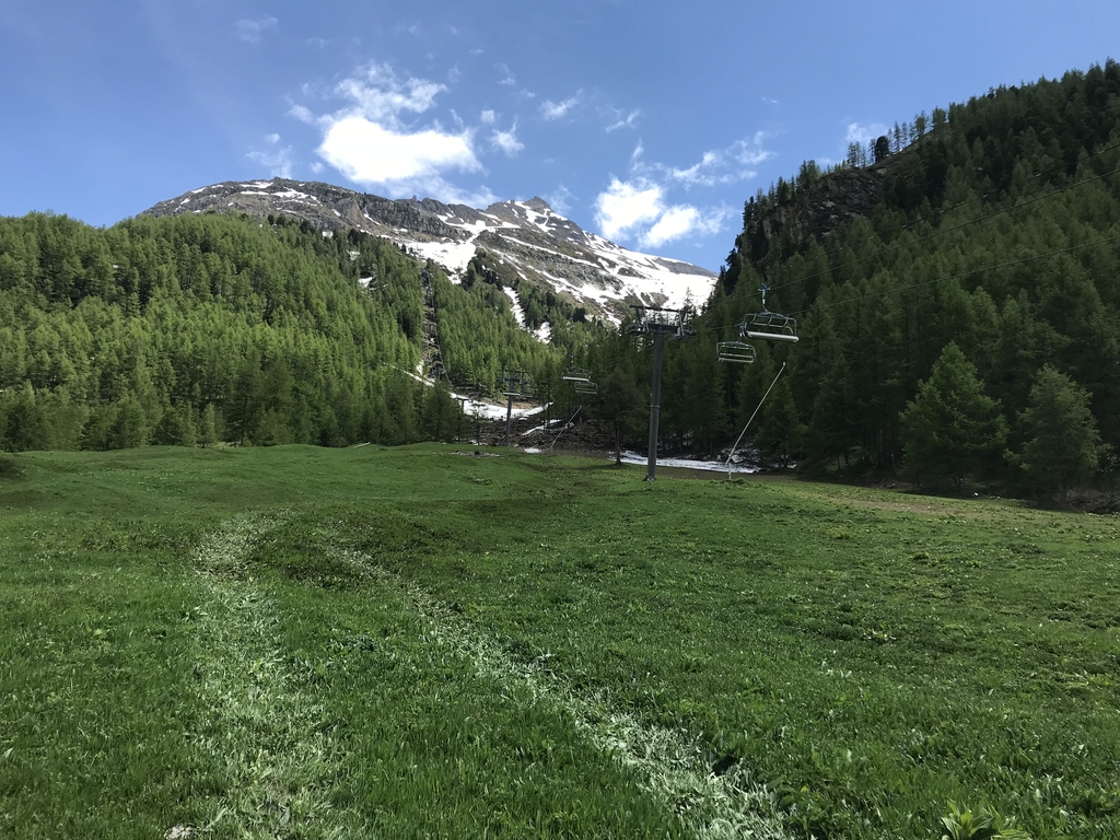 Conditions en direct été 2018 IMG_6940