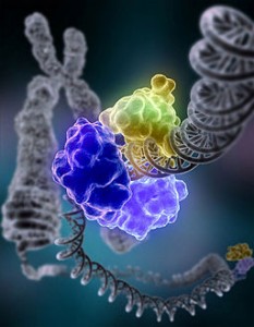 Proteins: how they provide striking evidence of design 256px-DNA_Repair-233x300