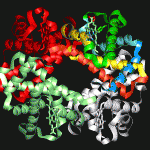 Proteins: how they provide striking evidence of design Deoxy_6-150x150