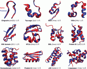 Proteins: how they provide striking evidence of design F2.medium-300x239