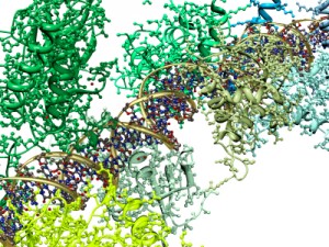 Proteins: how they provide striking evidence of design Protein-molecule-for-Complex-Neuron-Machinery--300x225