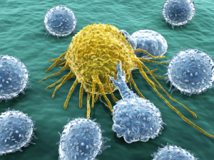 The Remarkable Language of Cells FEATURE-Cancer-and-B-Cells-iStock_000019908954XSmall-300x225