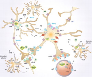 The Remarkable Language of Cells Signalling-Pain-1-300x252