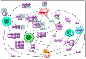 The Remarkable Language of Cells H_cytokinePathway-300x206