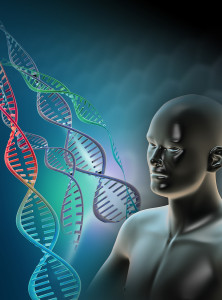 dna repair - Error checking and  repair systems in the cell, amazing evidence of design Bigstock-Human-Genome-22716218-1-222x300