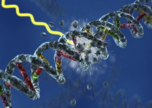 dna repair - Error checking and  repair systems in the cell, amazing evidence of design Dna_damage_full-300x213