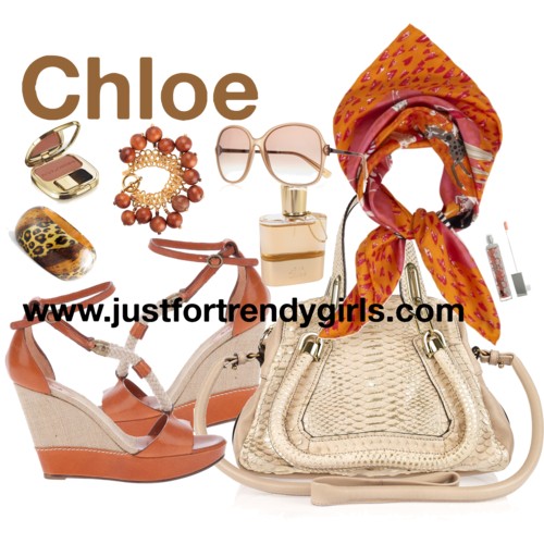 لمحبين الشياكة فقط Chloe-fashion-accessories-1