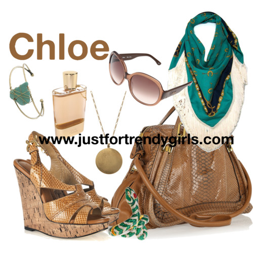 لمحبين الشياكة فقط Chloe-fashion-accessories-5