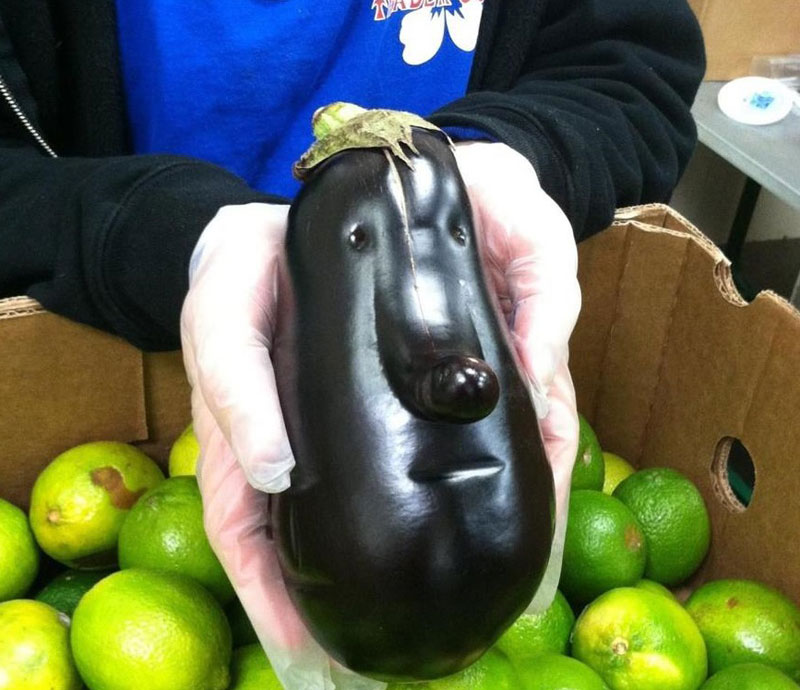 cara - Cosas con cara: el idio-tópic. - Página 6 Eggplant-face