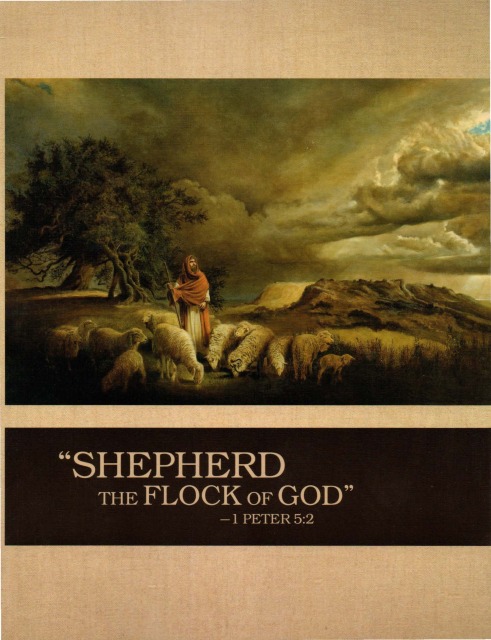 Sobre o livro dos anciãos Shepherd-flock-cover-ks10