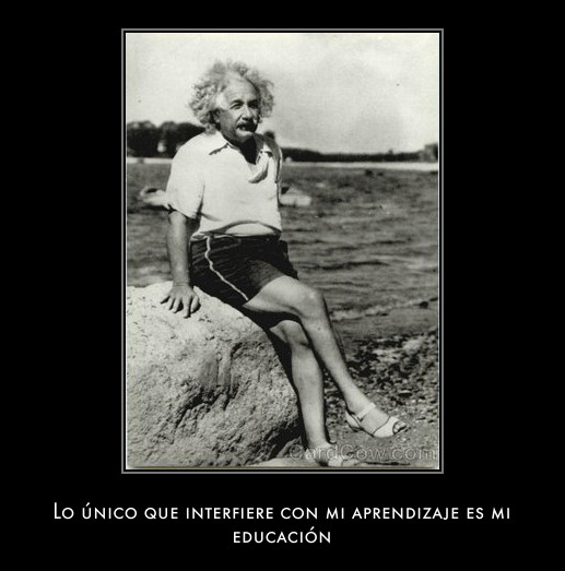 Memes de Albert Einstein. E01360621