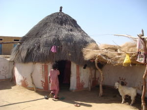 flush^ room 2123761-thar-desert-house-0