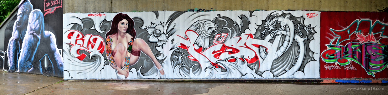 Akse P19 Crew, un artista del Graffitti AD3