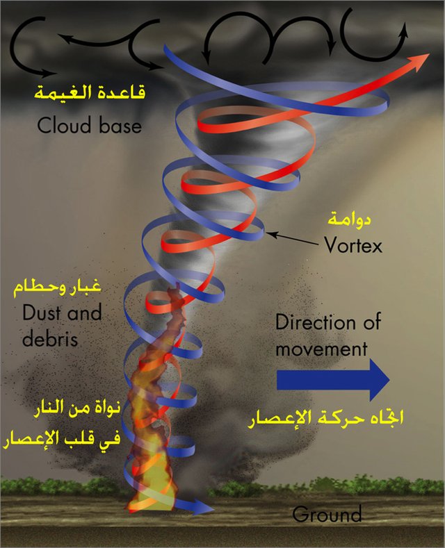 ظاهرة إعصار النار 4(18)